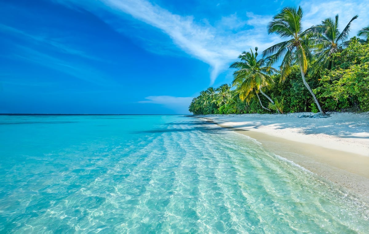 Maldives tropical island beach with turquoise water and palm trees
