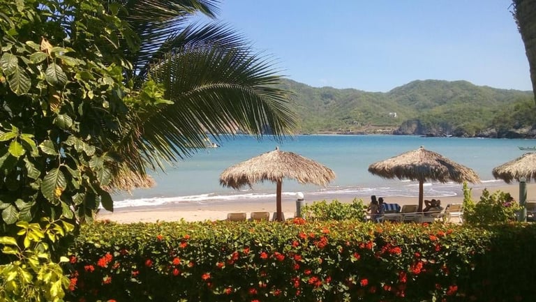 Tropical beach with thatched umbrellas, turquoise water, red flowers in foreground, palm trees, and green mountains in background