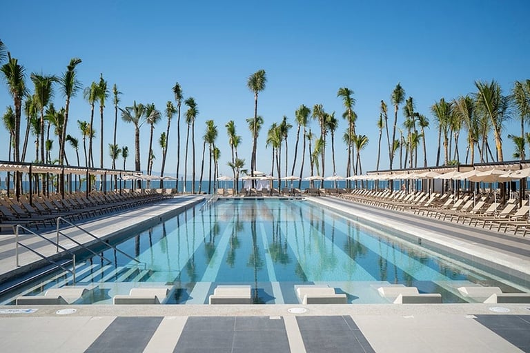 Olympic swimming pool with lane markings surrounded by palm trees and lounge chairs under a clear blue sky